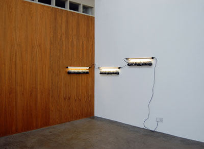Locky Morris: Acid-free, 2007 - 2009, empty Rennie packaging, 35mm slide trays, wall lights, dimensions variable; courtesy mother's tankstation